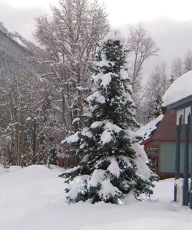 Blair Street Hostel Telluride Exterior photo